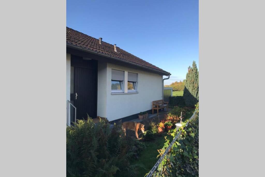 Appartement Region Esslingen - Naehe Messe - Flughafen - Stuttgart - Wohnen Und Arbeiten Auf Zeit In 120M2 Wohlfuehlatmosphaere - Ab 3 Uebernachtungen - Geeignet Fuer 4 Pers Incl Kinder - Beistellbett Moeglich - Kinder Und Tiere Willkommen - Garage F Altbach Экстерьер фото